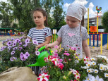 Наши юные садовники: 🌳🌳🌳🌸🌸🌸 выращиваем заботу и собираем первые успехи!!! 