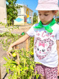 Огородные новости из нашего центра🫑🍅🍉 