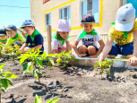 Огородные новости из нашего центра🫑🍅🍉 