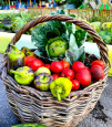 🧺 Закрываем огородный сезон ярким урожаем!🫑🍅🍉🥬 