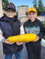 🧺 Закрываем огородный сезон ярким урожаем!🫑🍅🍉🥬 