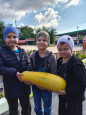 🧺 Закрываем огородный сезон ярким урожаем!🫑🍅🍉🥬 
