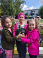 🧺 Закрываем огородный сезон ярким урожаем!🫑🍅🍉🥬 