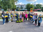 🧺 Закрываем огородный сезон ярким урожаем!🫑🍅🍉🥬 