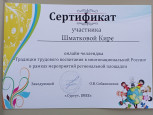 Достижения моих воспитанников