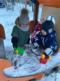 Наши прогулки