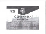 Транслирование в педагогических коллективах опыта практических результатов своей профессиональной деятельности. Публикации