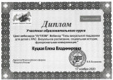 Удостоверения непрерывного самообразования