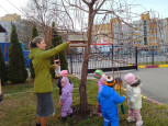 Экологическая акция "Покормим птиц зимой"