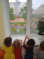 "Наблюдение за природными явлениями"