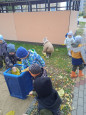 "Трудовое воспитание в осенний период"