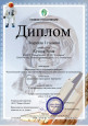 Международные
