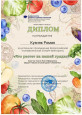 Викторины