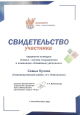 Профессионально - общественная активность.