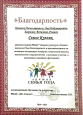 Профессионально - общественная активность.