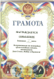 Профессионально - общественная активность.