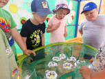 Солнце, воздух и вода – наши лучшие друзья!