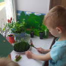 Пришла весна! А с весной - работа. Много у нас хлопот, Сеем новый огород!