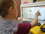 Обследование речи детей, посещающих логопункт