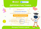 Участие во Всероссийской олимпиаде "Летние головоломки"