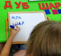 Шишкина школа. Из чего состоят слоги?