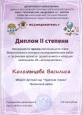 Диплом регионального этапа конкурса "Я - исследователь"
