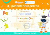 Победа во Всероссийской олимпиаде "РобоборикУм"