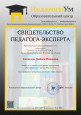 Свидетельство эксперта "ПедагогиУм"