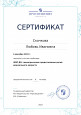  Участник вебинара "Просвещение -Союз "