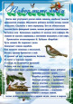 Покормите птиц зимой