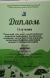 Профессионально-общественная активность 