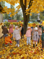 "Осенняя прогулка"