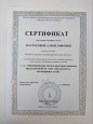 «Формирование оптико - пространственных представлений на этапе запуска речи у неговорящих детей» 