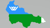 РЕГИОНАЛЬНЫЙ УРОВЕНЬ