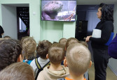Экскурсия в музей