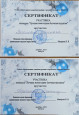 Победители городского этапа конкурса "Лучшая новогодняя игрушка"