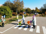 Дорожная безопасность