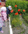 В рамках Всероссийской акции "День эколога"