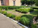 Подведены итоги муниципального этапа смотра-конкурса территорий образовательных организаций