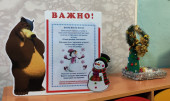 Об участии в региональном этапе Всероссийской акции-фестиваля волонтерских практик «Свет в окне»