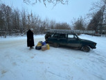 Братья наши меньшие