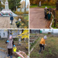 Свет в окне 