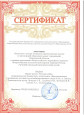 Достижения педагогов 2017,2018,2019г