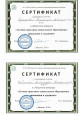 Достижения педагогов 2017,2018,2019г