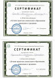 Достижения педагогов 2017,2018,2019г