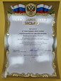 4.9.Наличие отмеченных профессиональных достижений