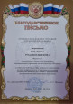 4.9.Наличие отмеченных профессиональных достижений