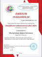 Достижения за 2023 - 2024 гг