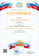 Достижения за 2024-2025гг