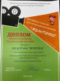 Достижения за 2024-2025гг